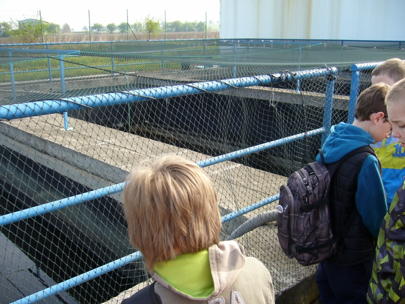 P1140939 (800x600)